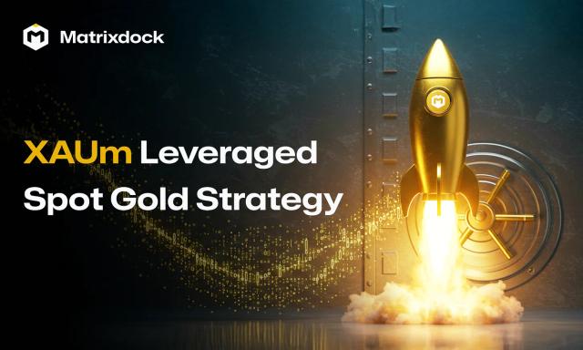 Leveraged Spot Gold Strategy with Tokenized Gold