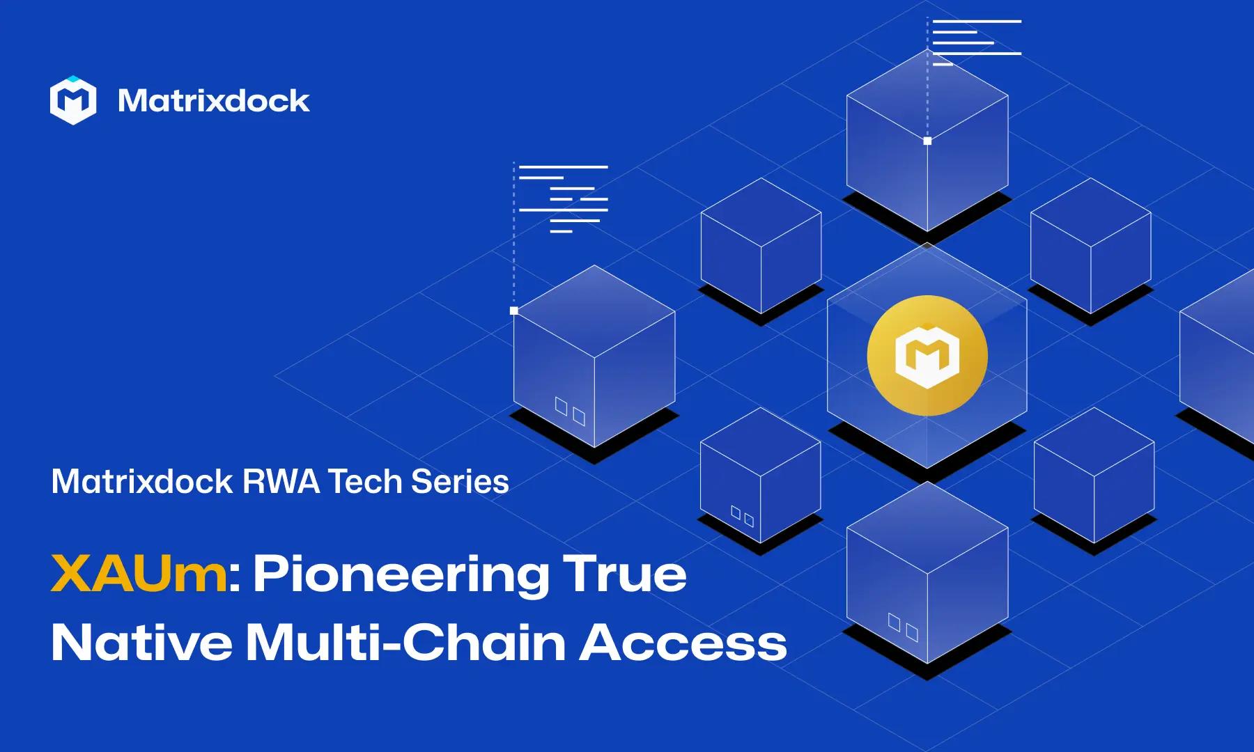 Pioneering True Native Multi-Chain Access with RWA